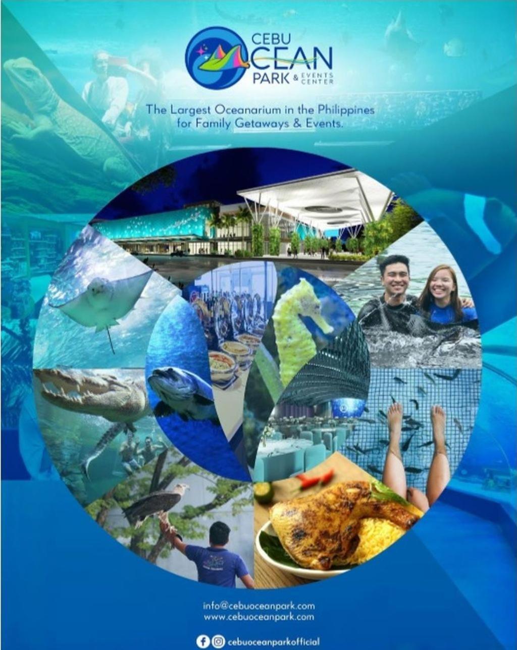 Amalfi Oasis Seaside Cebu Lägenhet Exteriör bild